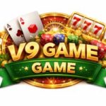 V9 Game