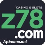 Z78 Game