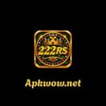 222RS Game