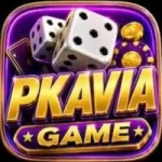PKAVIA Game