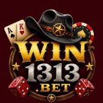 WIN 1313 Game